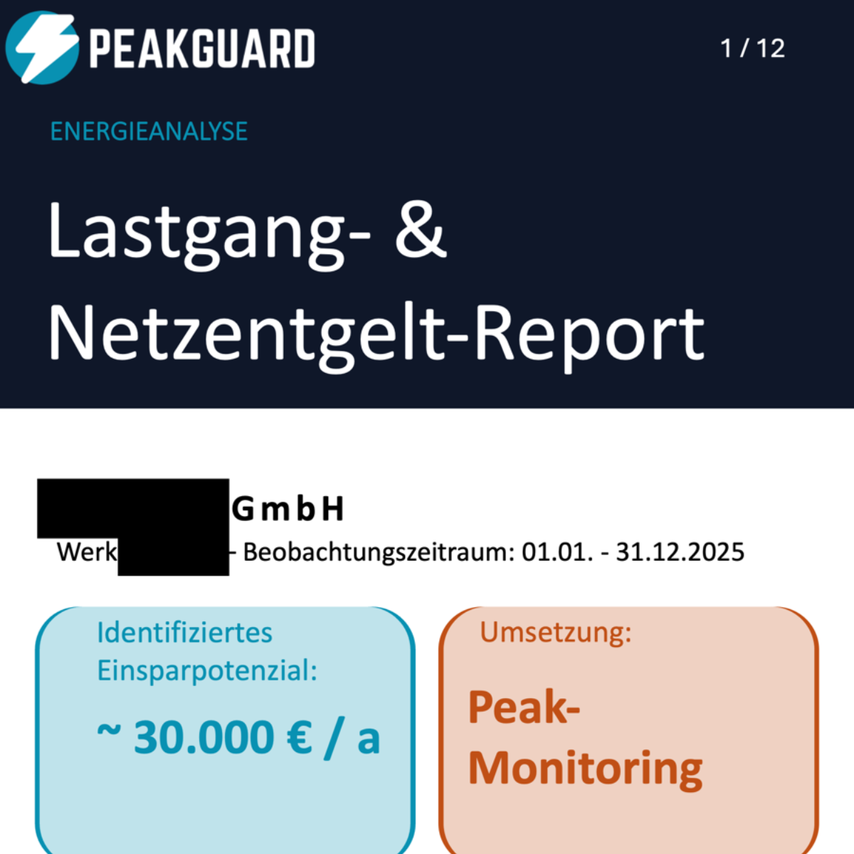 Lastganganalyse Produktionsbetrieb PeakGuard
